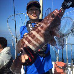 シーモンキー 釣果