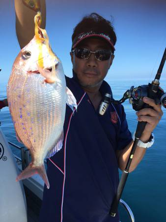 シーモンキー 釣果