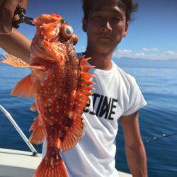 シーモンキー 釣果