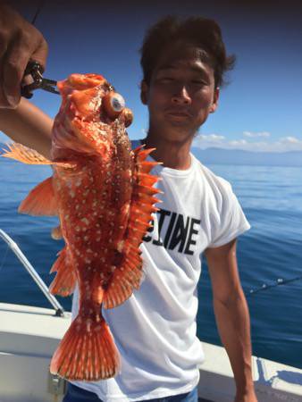 シーモンキー 釣果