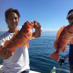 シーモンキー 釣果