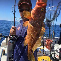 シーモンキー 釣果