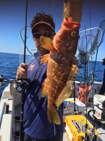 シーモンキー 釣果