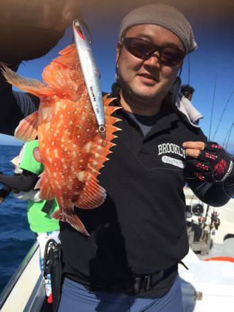 シーモンキー 釣果