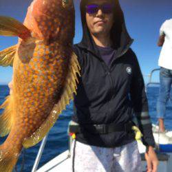 シーモンキー 釣果