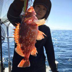 シーモンキー 釣果