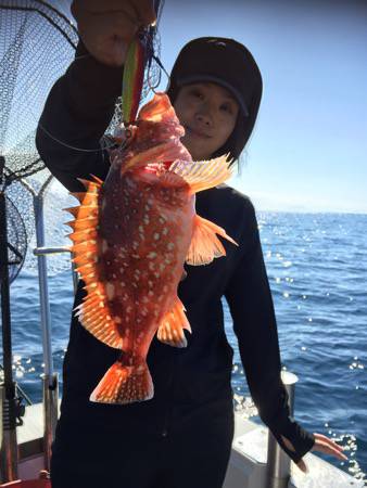 シーモンキー 釣果