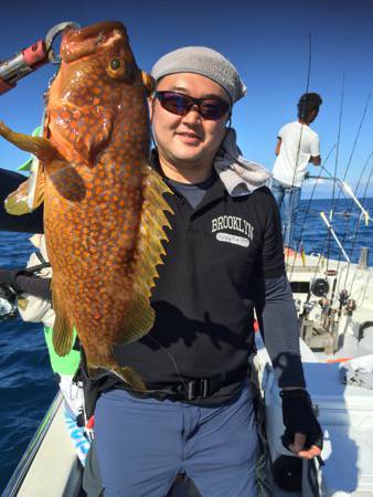 シーモンキー 釣果