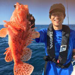 シーモンキー 釣果