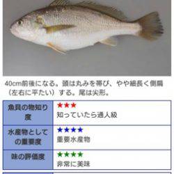 シーモンキー 釣果