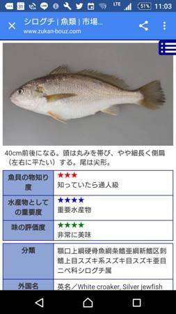 シーモンキー 釣果