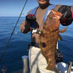 シーモンキー 釣果