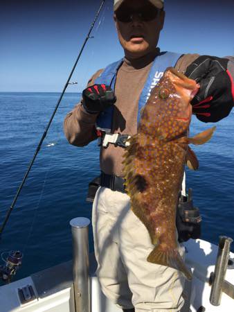 シーモンキー 釣果