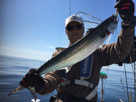 シーモンキー 釣果
