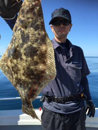 シーモンキー 釣果