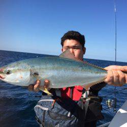 シーモンキー 釣果