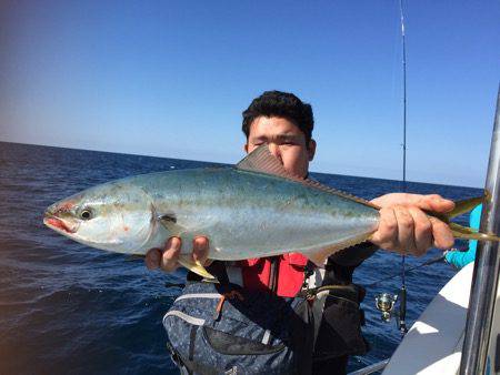 シーモンキー 釣果