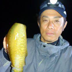 恵比寿丸（兵庫） 釣果