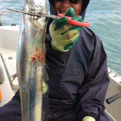 恵比寿丸（兵庫） 釣果