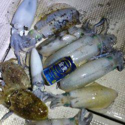 恵比寿丸（兵庫） 釣果