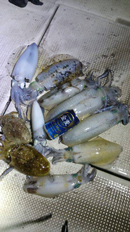 恵比寿丸（兵庫） 釣果