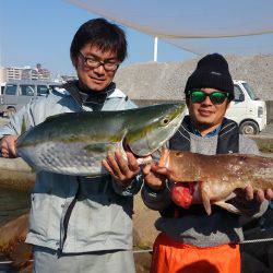恵比寿丸（兵庫） 釣果