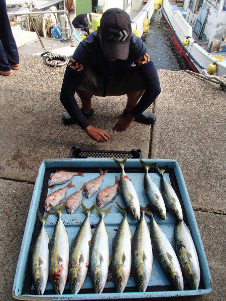 久六釣船 釣果