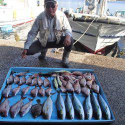 久六釣船 釣果
