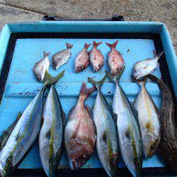 久六釣船 釣果