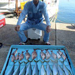 久六釣船 釣果
