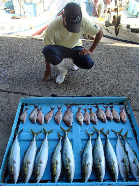 久六釣船 釣果