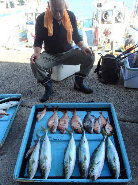 久六釣船 釣果