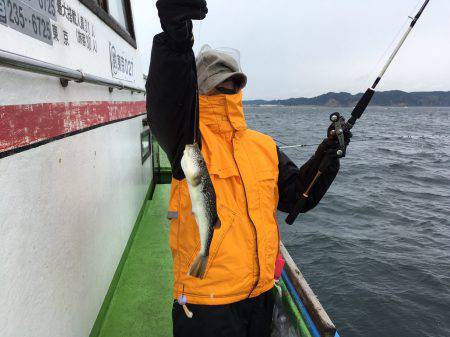 えさ政釣船店 釣果