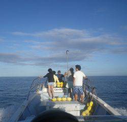 ことぶき丸 釣果