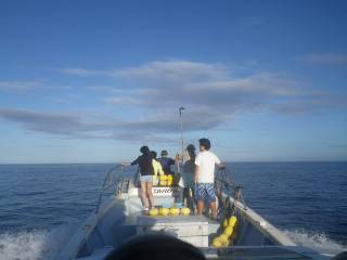 ことぶき丸 釣果