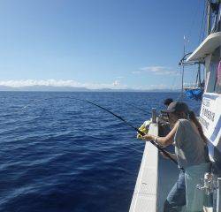 ことぶき丸 釣果