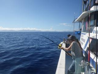 ことぶき丸 釣果