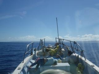 ことぶき丸 釣果