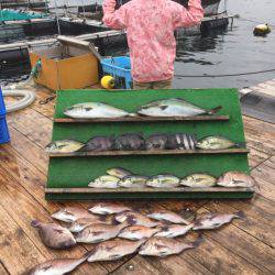 みうら海王 釣果