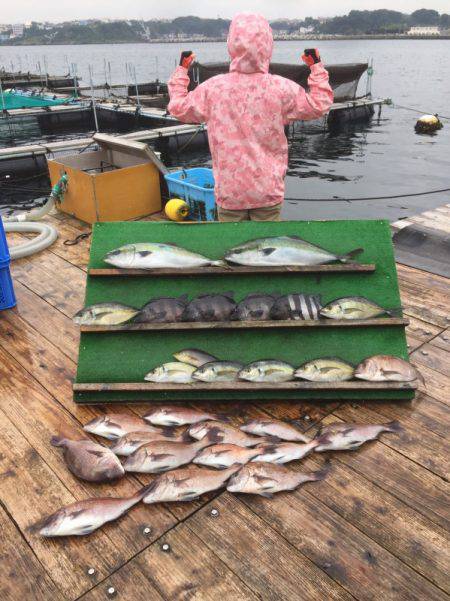 みうら海王 釣果