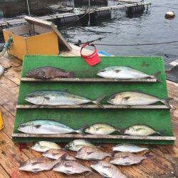 みうら海王 釣果