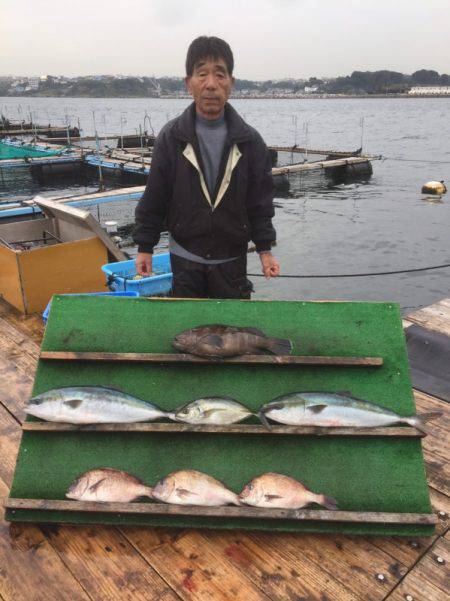 みうら海王 釣果