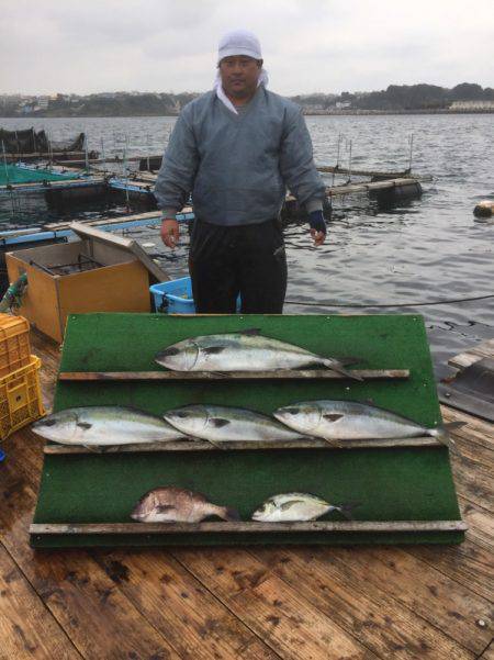 みうら海王 釣果