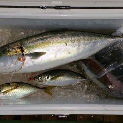 火遠理丸（ほおりまる） 釣果