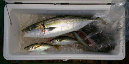 火遠理丸（ほおりまる） 釣果