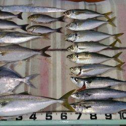 火遠理丸（ほおりまる） 釣果