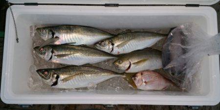 火遠理丸（ほおりまる） 釣果