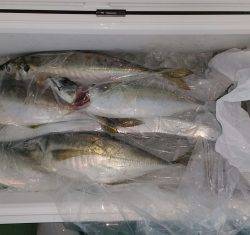 火遠理丸(ほおりまる) 釣果