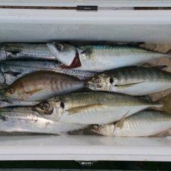 火遠理丸(ほおりまる) 釣果