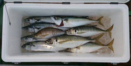 火遠理丸(ほおりまる) 釣果